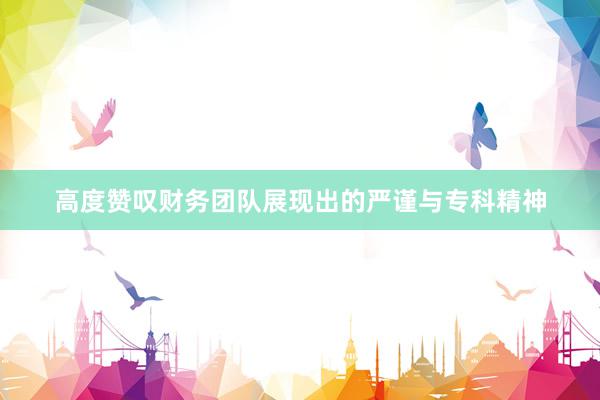 高度赞叹财务团队展现出的严谨与专科精神
