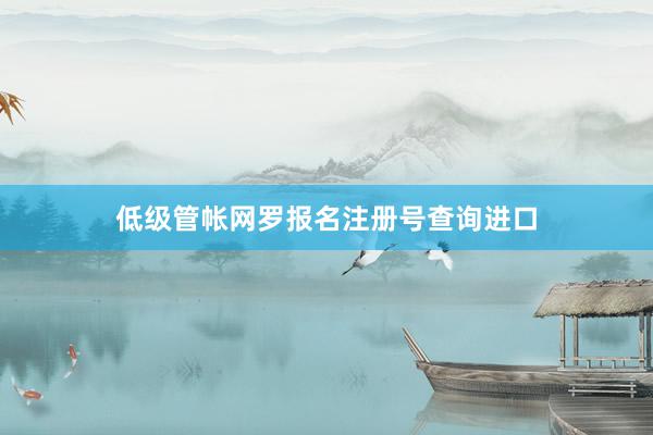低级管帐网罗报名注册号查询进口