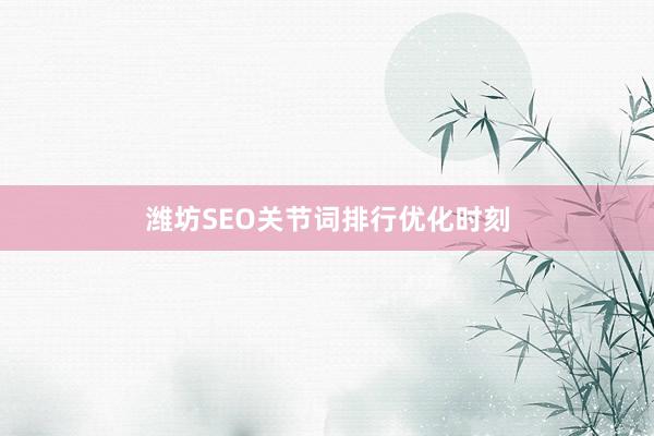 潍坊SEO关节词排行优化时刻