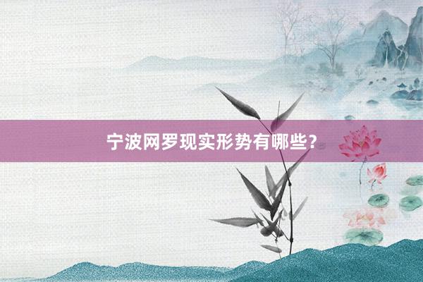 宁波网罗现实形势有哪些？