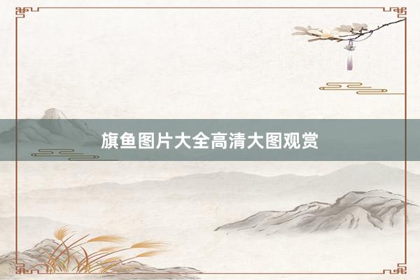 旗鱼图片大全高清大图观赏